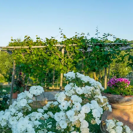 农家乐 I Colli 蒙塔约内