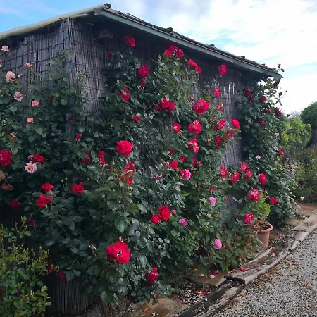 Farm stay I Colli *
