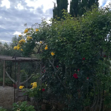 I Colli Farm stay Montaione