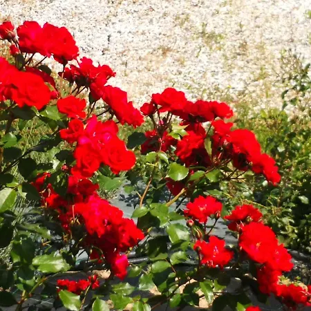 Farm stay I Colli